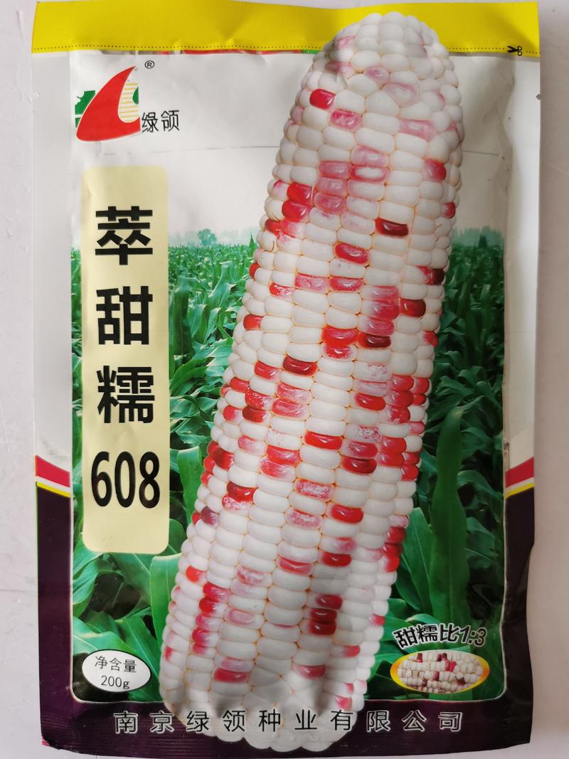 彩甜糯608鲜食玉米种籽非转基因原袋发货支持线上交易