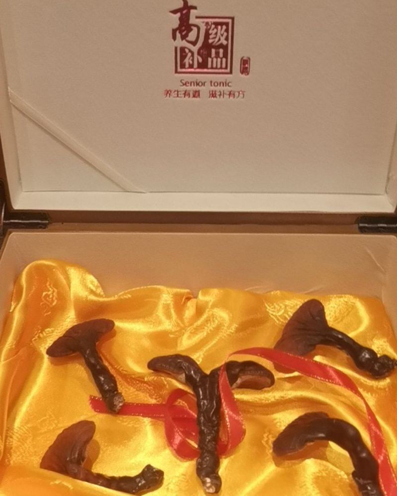 长白山野生灵芝，礼盒款！大量现货极速发货！产地直销量大优