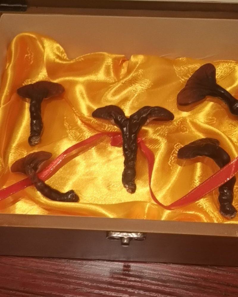 长白山野生灵芝，礼盒款！大量现货极速发货！产地直销量大优