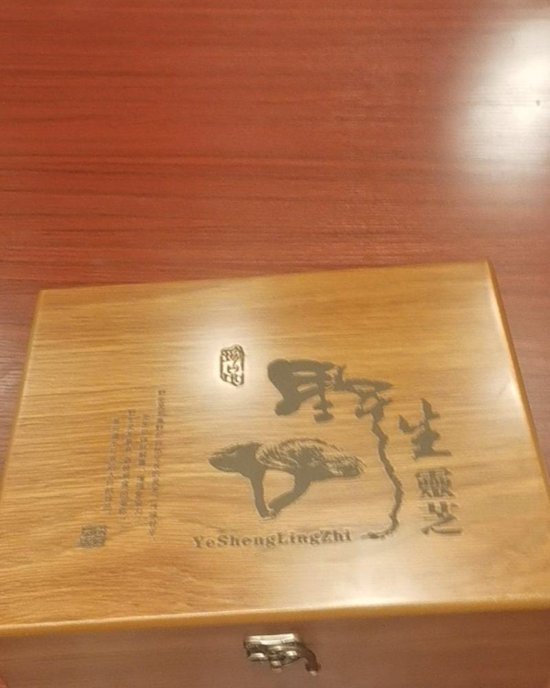 长白山野生灵芝，礼盒款！大量现货极速发货！产地直销量大优