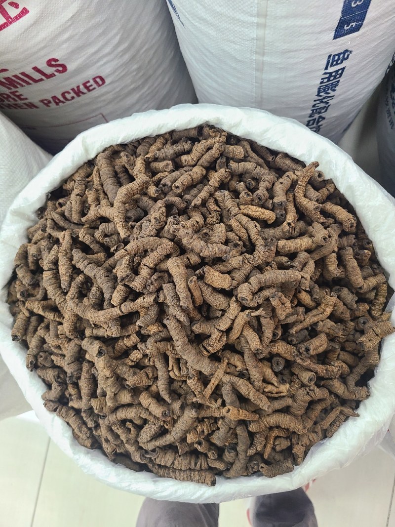 巴戟巴戟天各种规格价廉物美