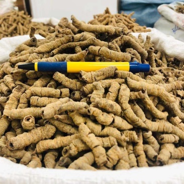 巴戟巴戟天各种规格价廉物美