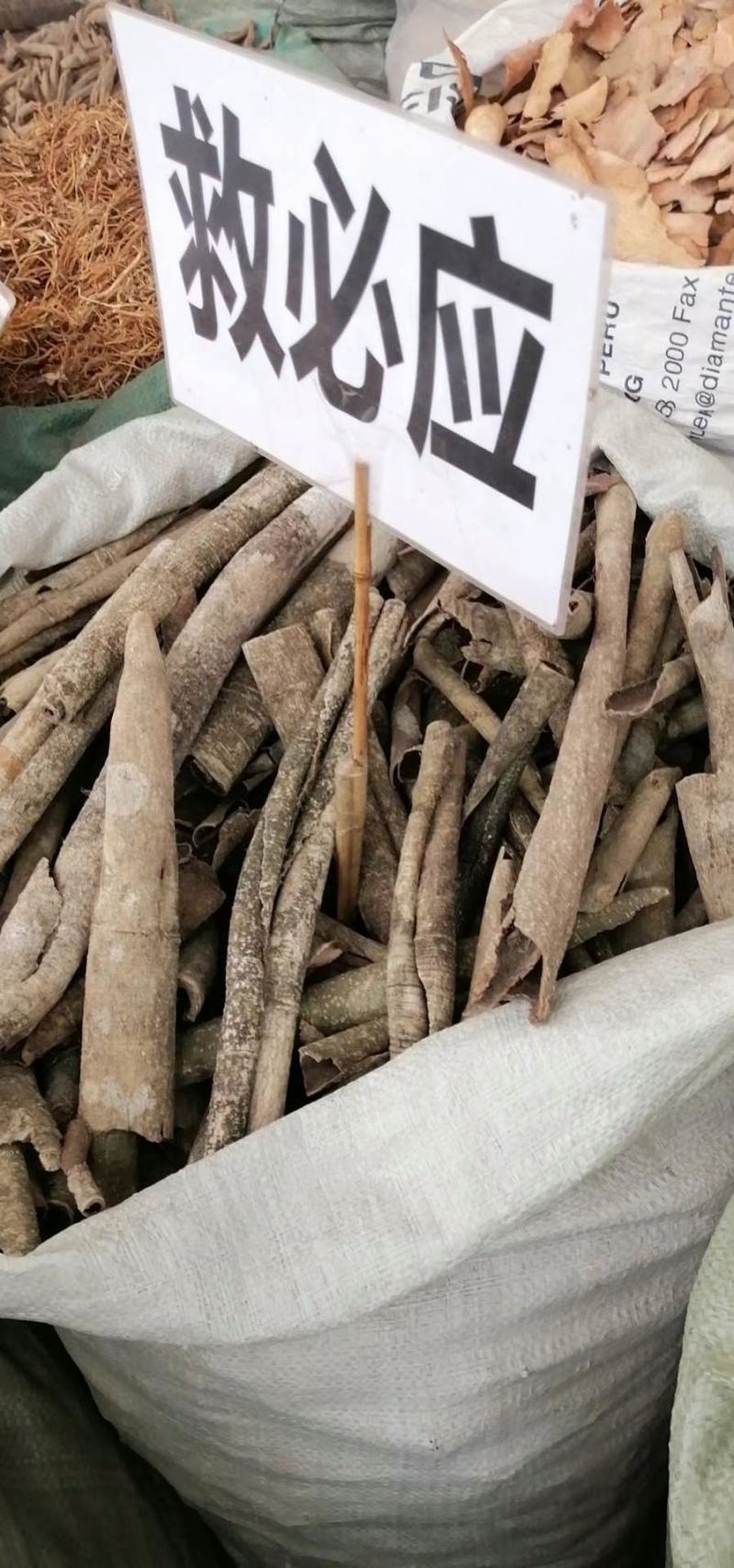 广西榕胆木皮救必应薄皮新货，货源充足全国发货