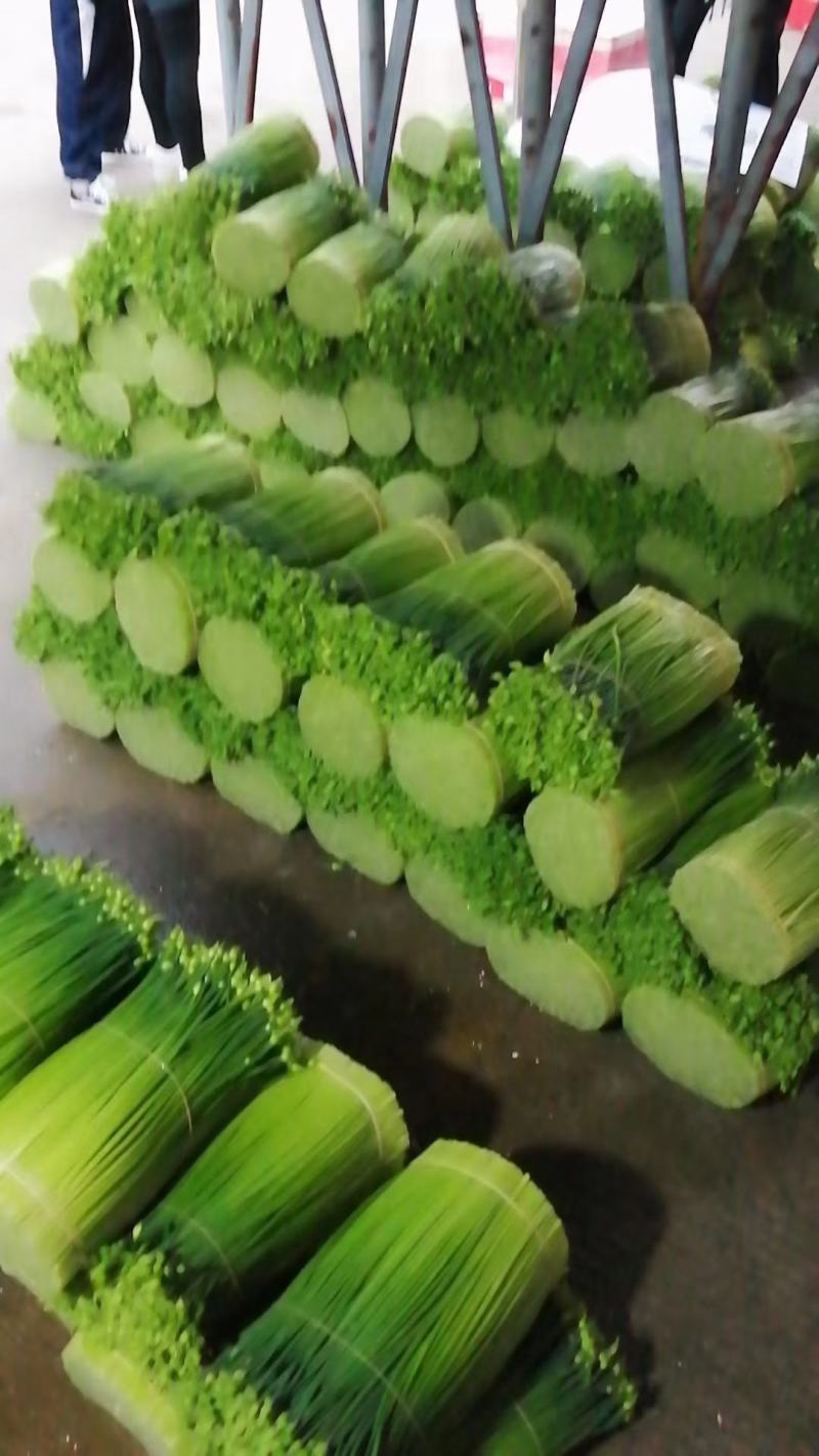 韭菜花规格25-35cm靓短花