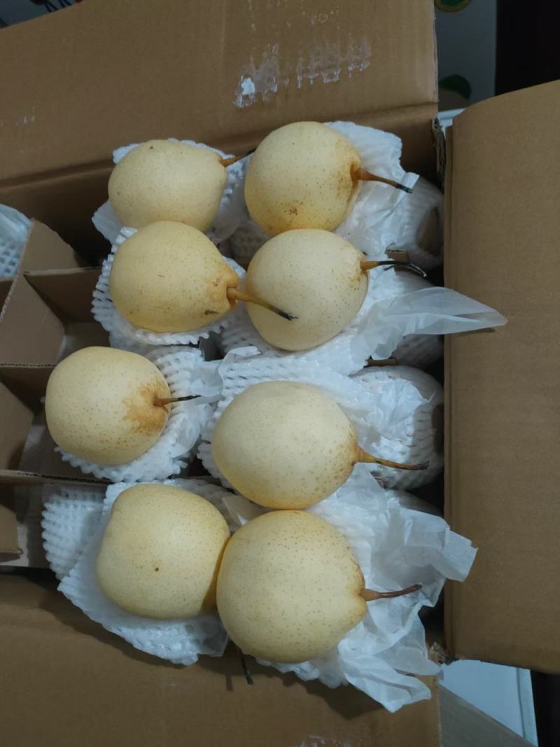 水晶鸭梨口感好，果面干净产地直发精选好果诚信经营