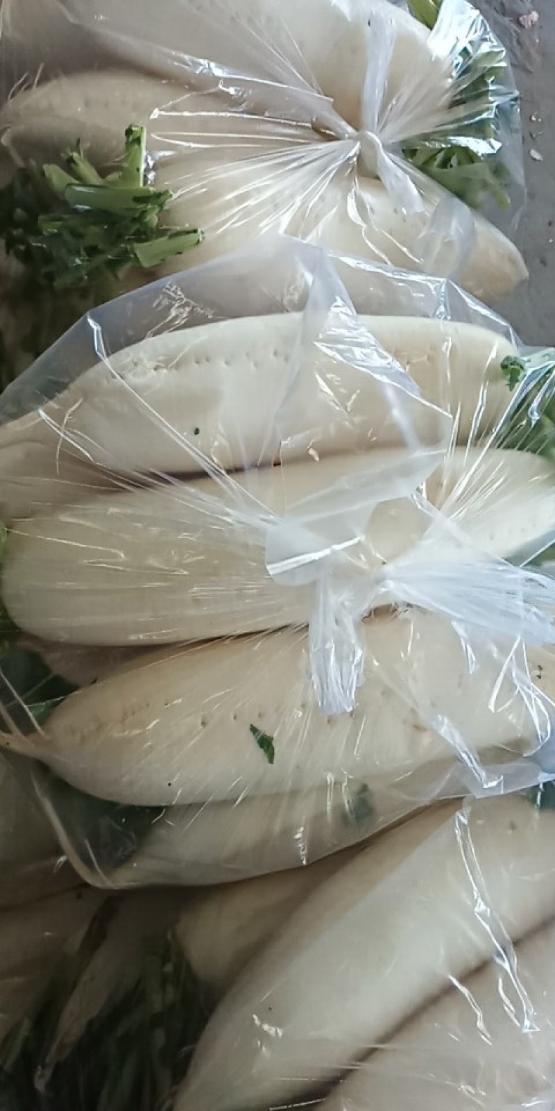 河北永年精品白萝卜大量供应中，可供大型批发市场.超市食堂