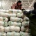 河北永年精品花菜大量供应中，可供大型批发市场超市和加工厂