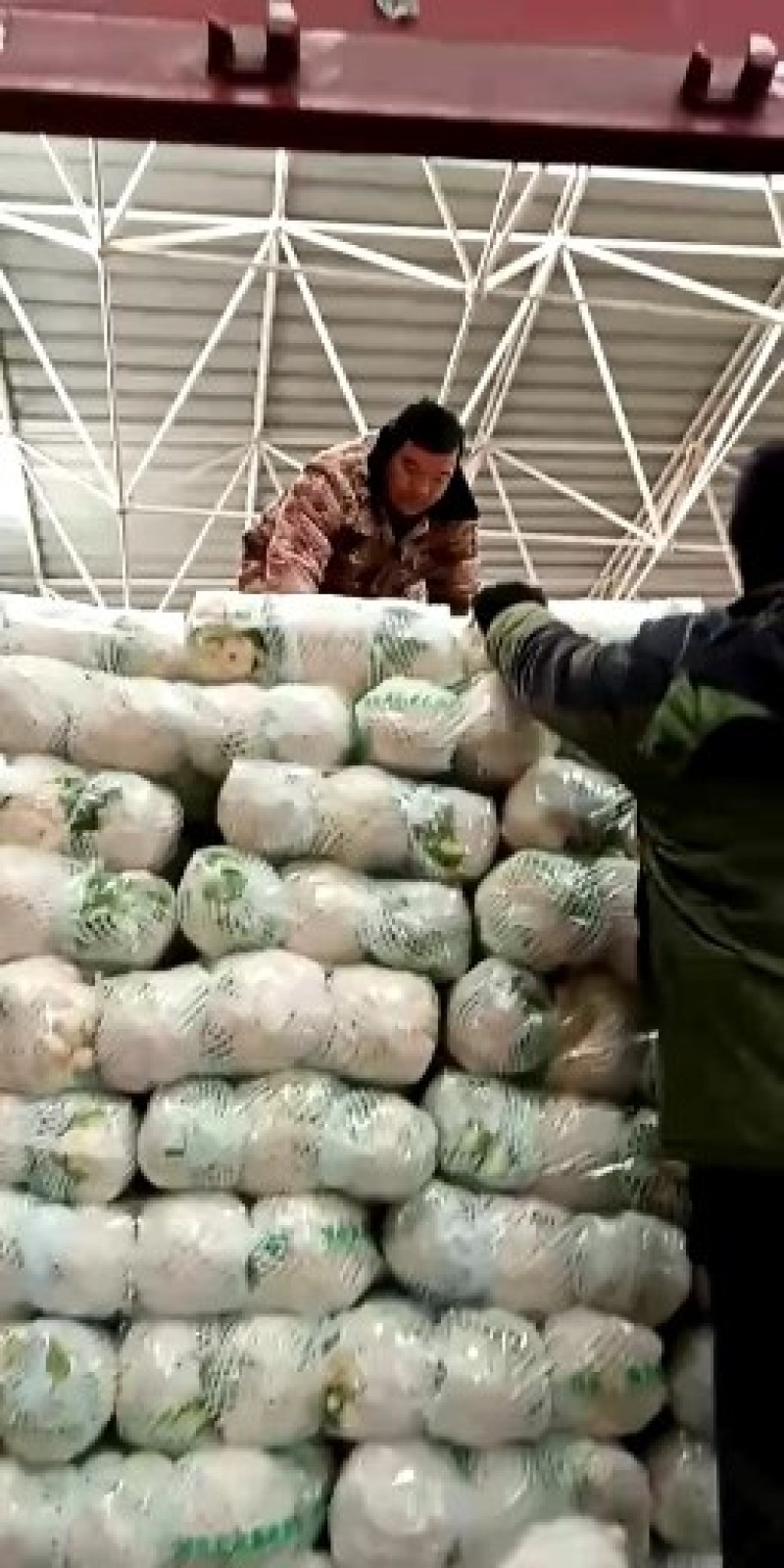 河北永年精品花菜大量供应中，可供大型批发市场超市和加工厂