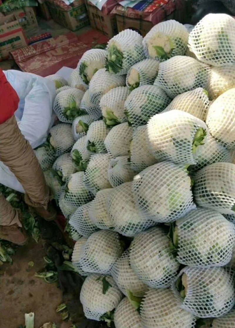 河北永年精品花菜大量供应中，可供大型批发市场超市和加工厂