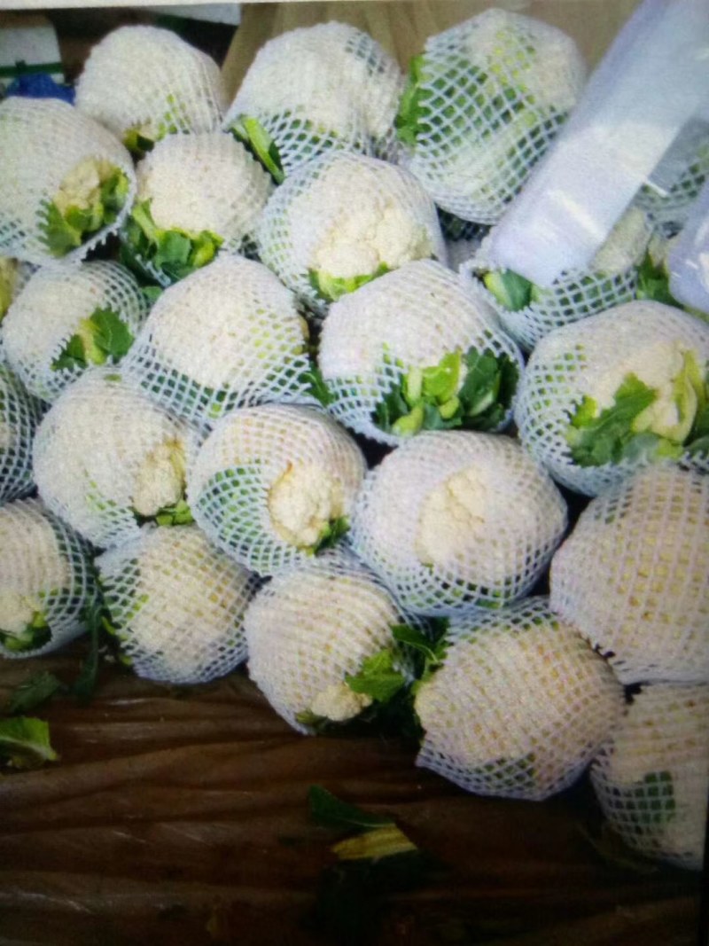 河北永年精品花菜大量供应中，可供大型批发市场超市和加工厂