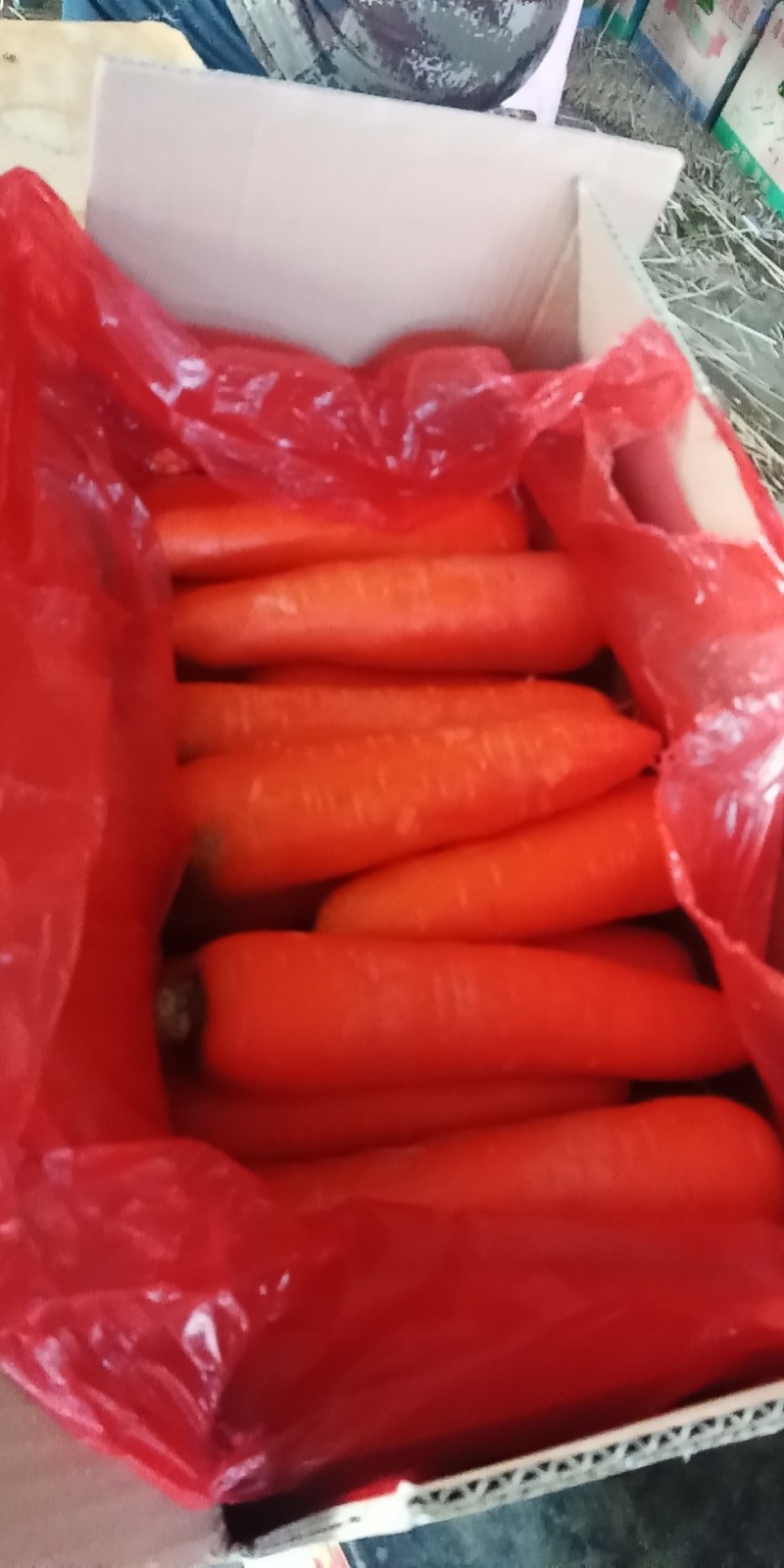 河北永年精品胡萝卜大量供应中，可供大型批发市场和超市