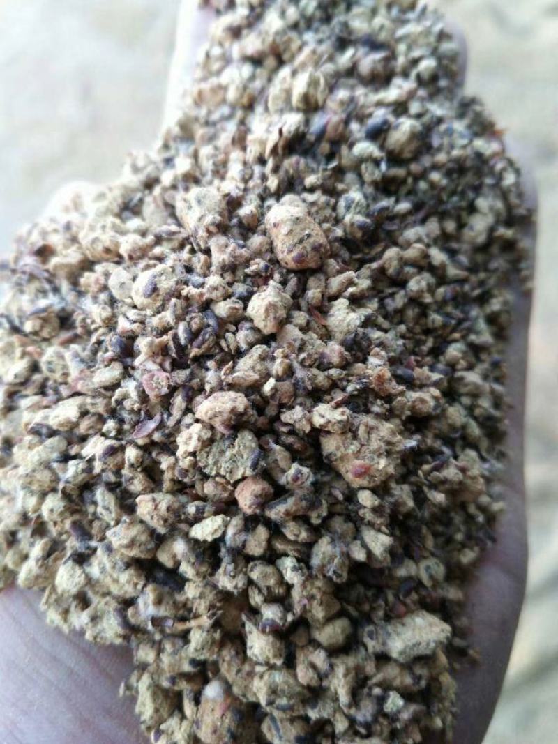 新疆阿克苏阿拉尔库车棉籽壳棉渣玉米芯棉籽棉仁棉粕棉饼