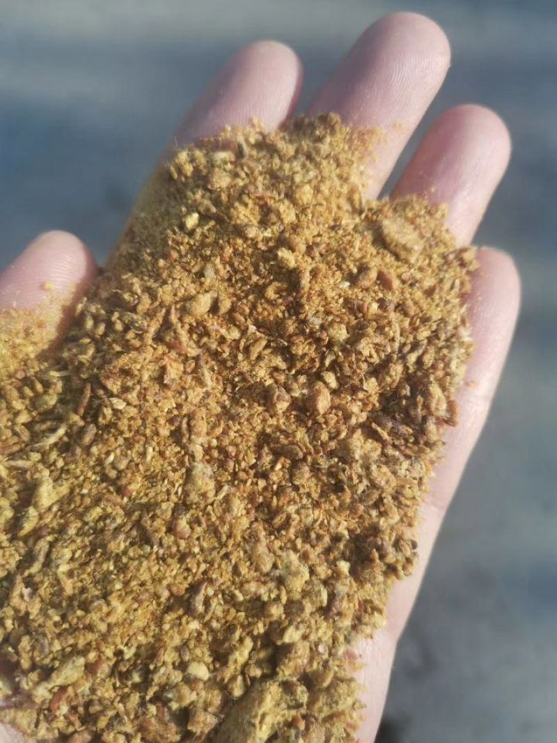 新疆阿克苏阿拉尔库车棉籽壳棉渣玉米芯棉籽棉仁棉粕棉饼
