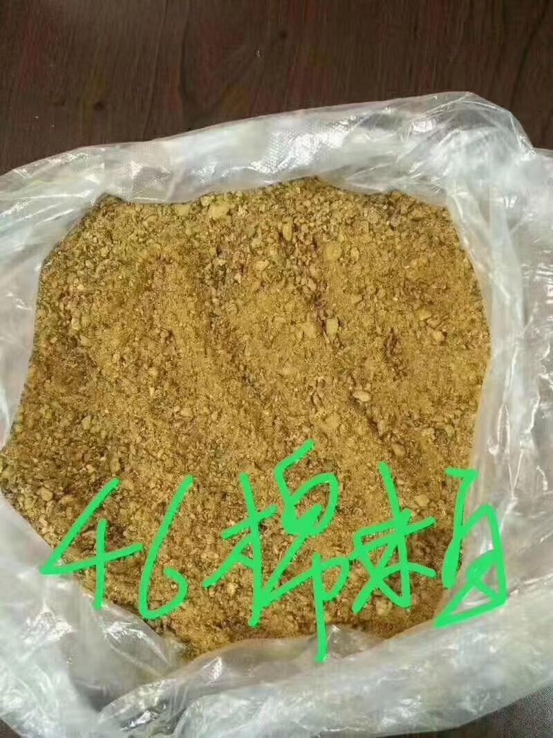 新疆乌鲁木齐哈密吐鲁番棉籽壳棉渣棉粕棉仁棉籽棉饼玉米芯压