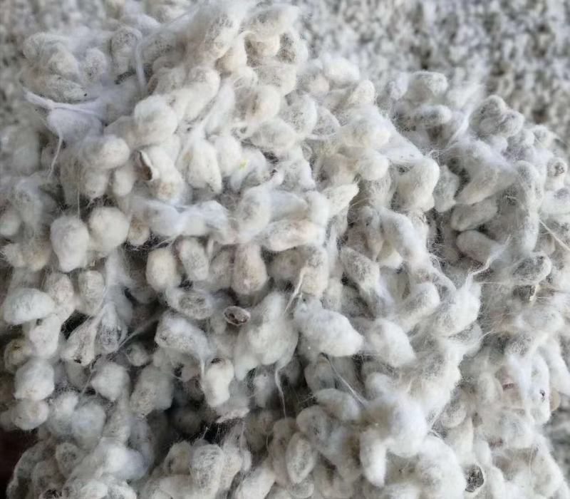 新疆乌鲁木齐哈密吐鲁番棉籽壳棉渣棉粕棉仁棉籽棉饼玉米芯压