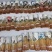 新疆乌鲁木齐哈密吐鲁番棉籽壳棉渣棉粕棉仁棉籽棉饼玉米芯压