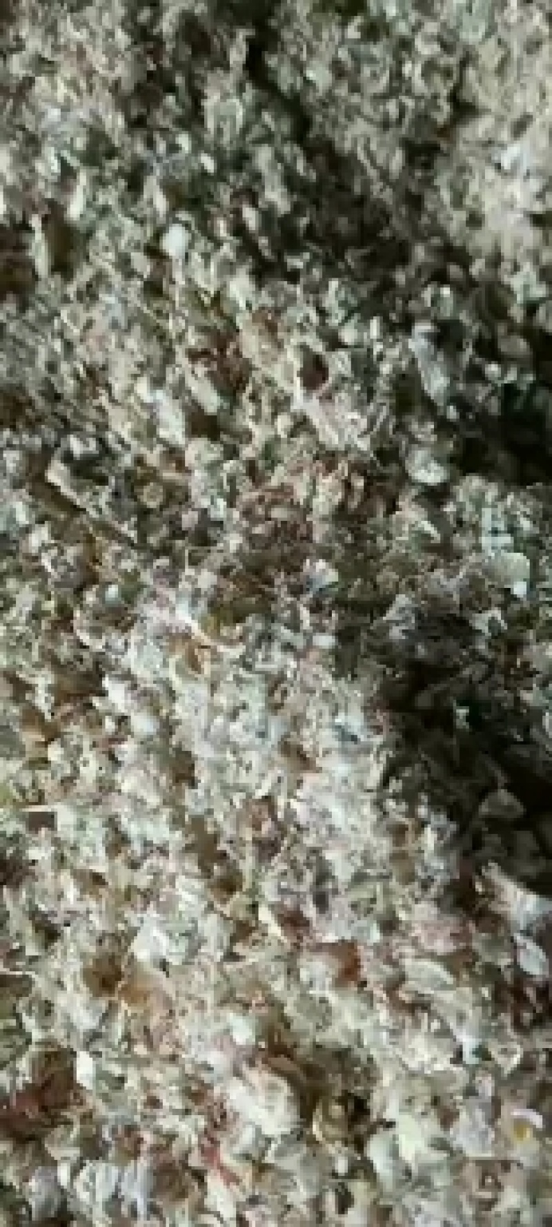新疆博尔塔拉塔城奎屯克拉玛依棉籽壳棉渣棉粕棉仁棉籽玉米芯