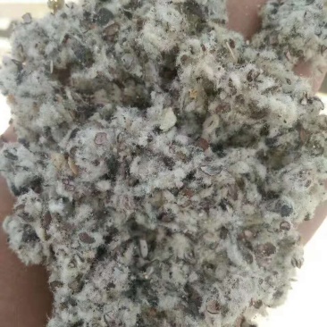 新疆博尔塔拉塔城奎屯克拉玛依棉籽壳棉渣棉粕棉仁棉籽玉米芯