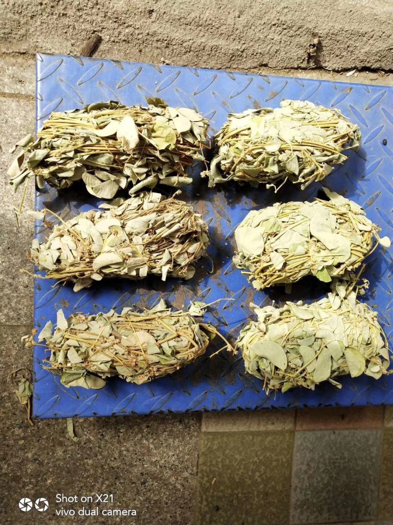 欢迎中药金钱草想要就找我欢迎选购