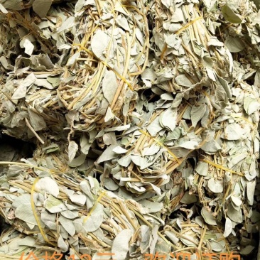 欢迎中药金钱草想要就找我欢迎选购