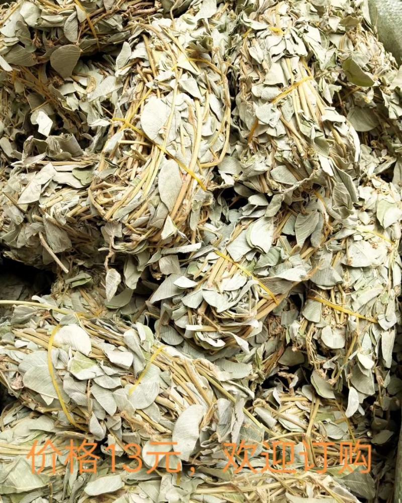 欢迎中药金钱草想要就找我欢迎选购