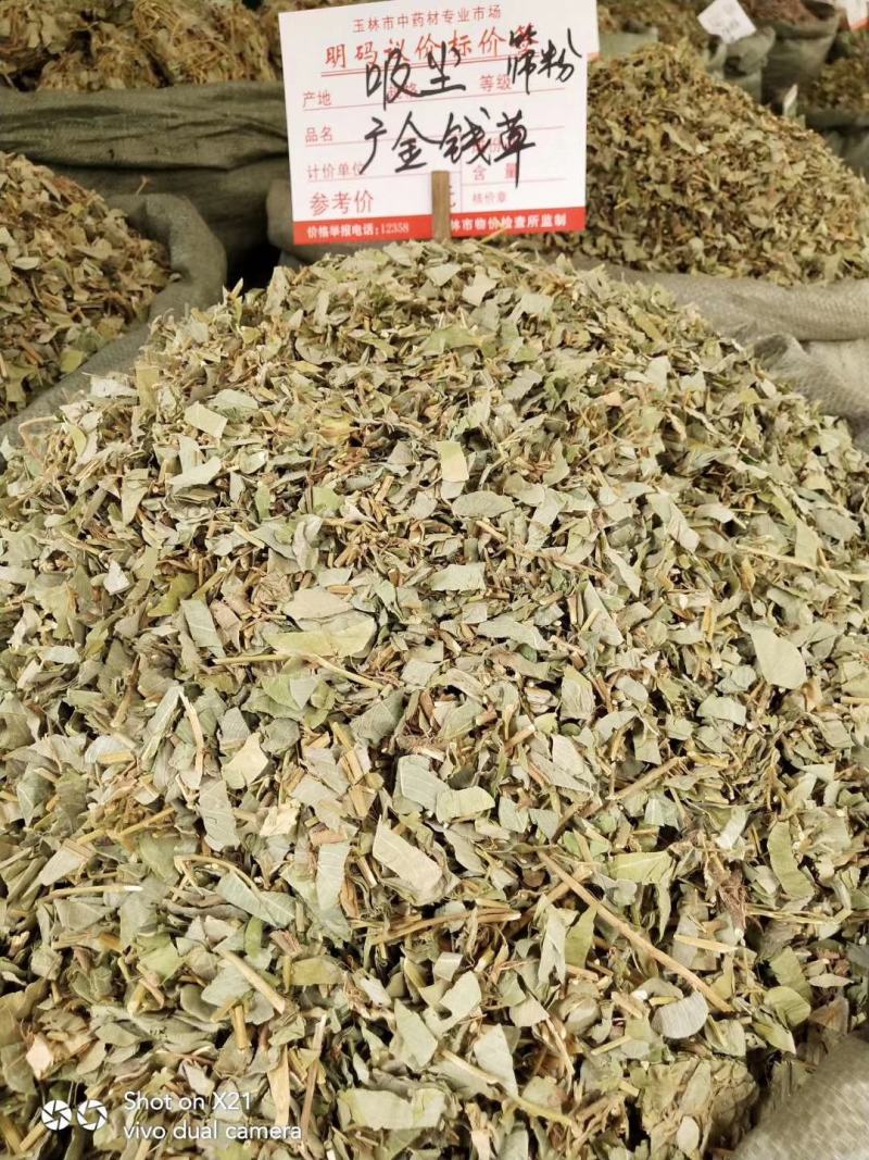欢迎中药金钱草想要就找我欢迎选购
