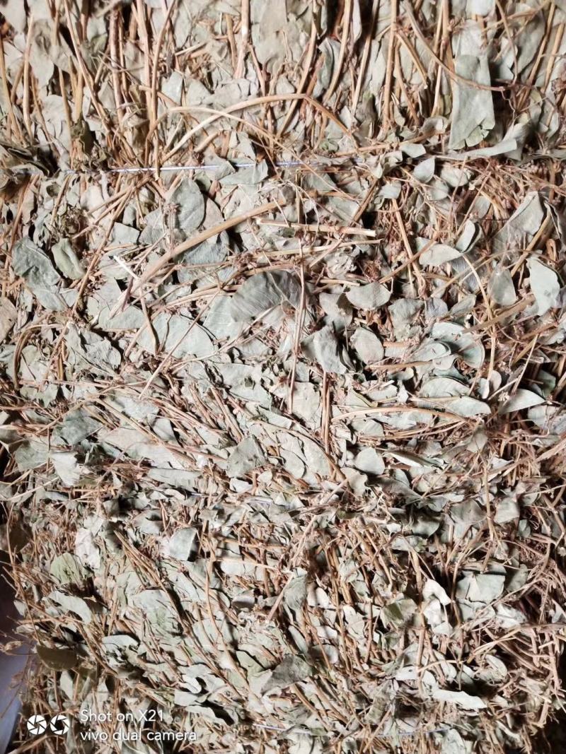 欢迎中药金钱草想要就找我欢迎选购