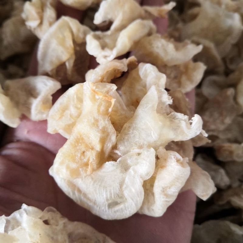 鱼鳔小鱼膘货好量大产地湖南正品不满意可以退换货