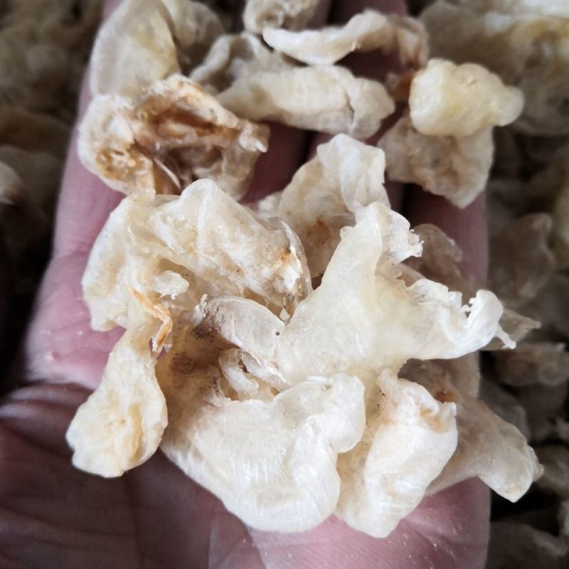 鱼鳔小鱼膘货好量大产地湖南正品不满意可以退换货