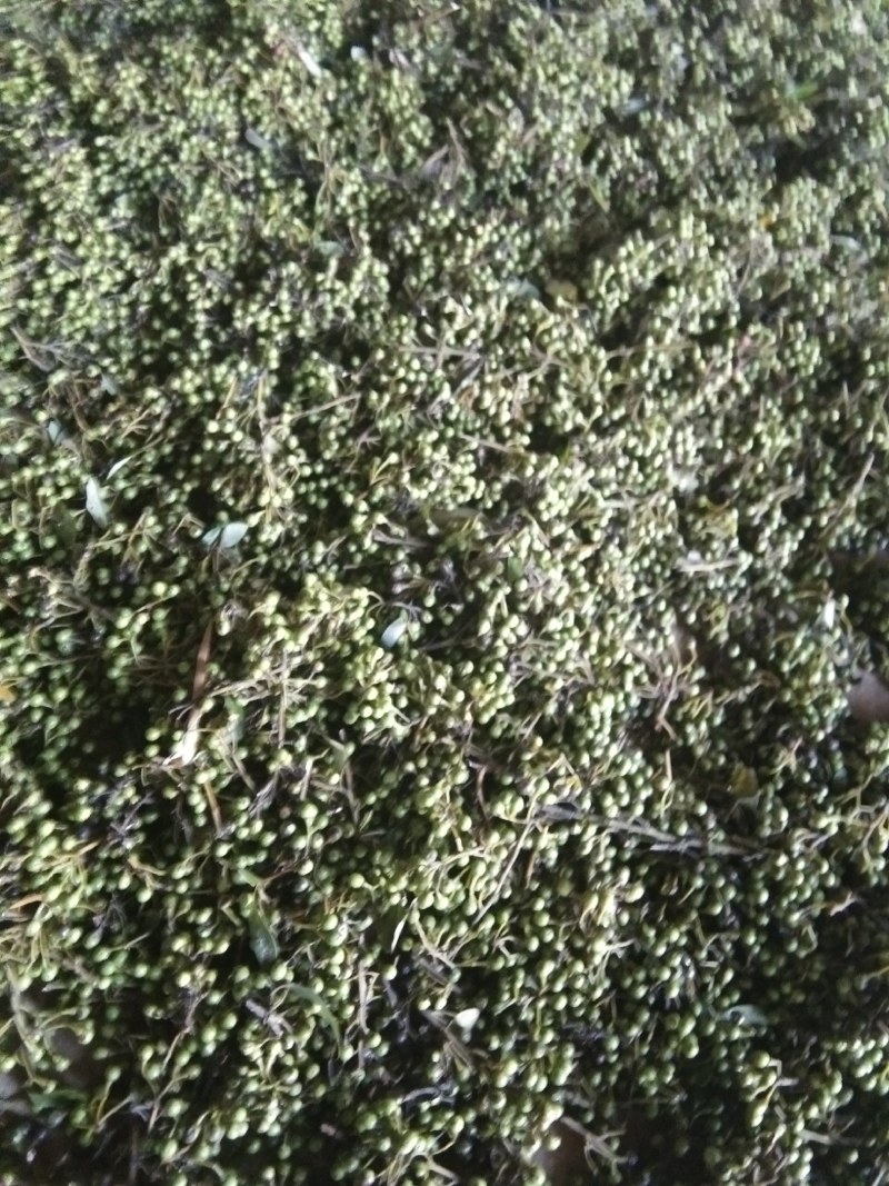 山苍子油山鸡椒油木姜子油山胡椒油纯野生食品级