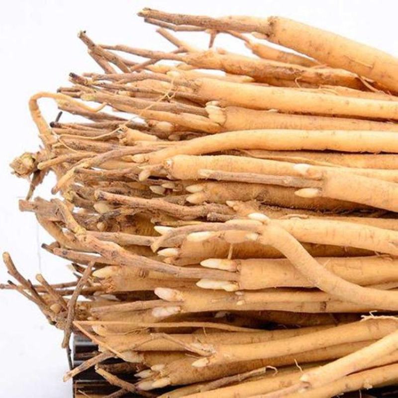 黄芪种子陇西黄芪籽棉芪原产地甘肃陇西发货2020年新