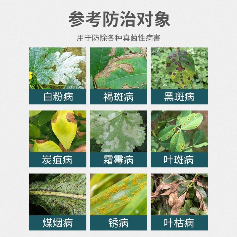 龙灯至伏保大生代森锰锌土豆蔬菜白粉病黑斑病广谱保护杀菌剂