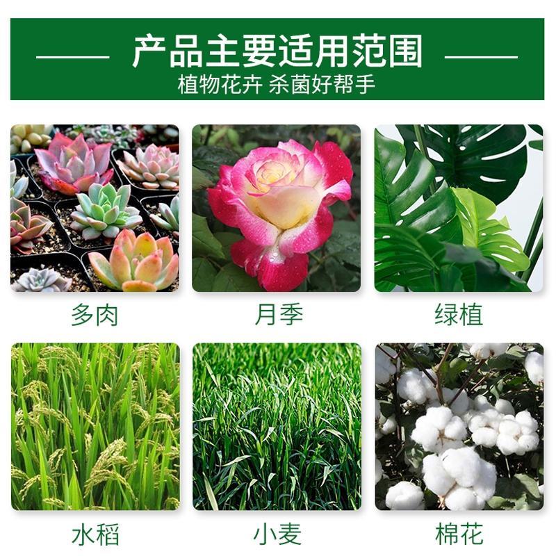 龙灯至伏保大生代森锰锌土豆蔬菜白粉病黑斑病广谱保护杀菌剂
