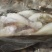 厂价直销，量大从优，欢迎采购