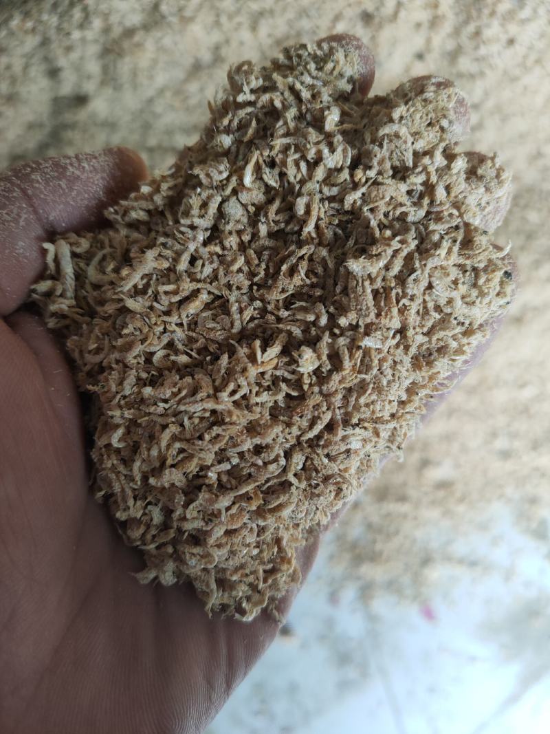 鲁北批发市场干货引子虾