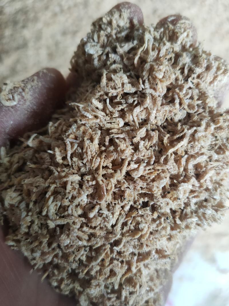 鲁北批发市场干货引子虾