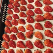 大量批发红颜99草莓