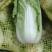 小娃娃菜3.29号清库处理2元每袋原包毛菜，拼手速手慢无