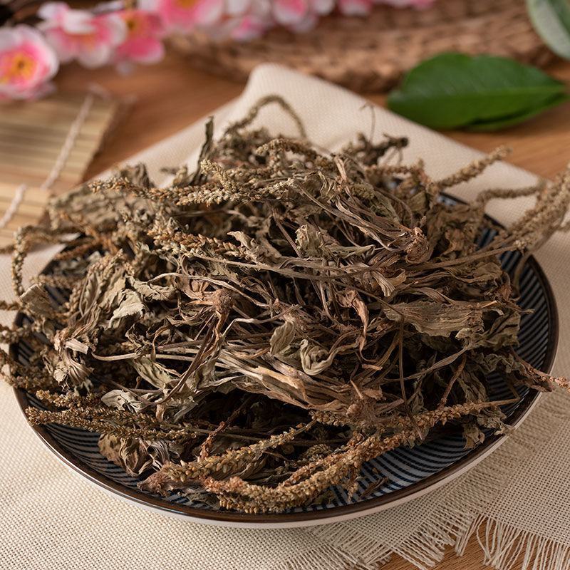 车前草产地山东货好新鲜干度好质量保证