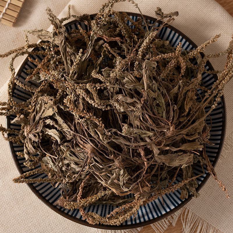 车前草产地山东货好新鲜干度好质量保证