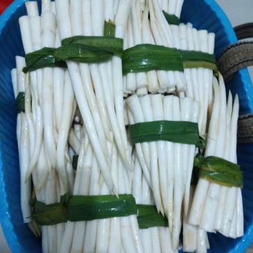 云南文山新鲜象牙菜，草牙质量非常好需要的微信联系