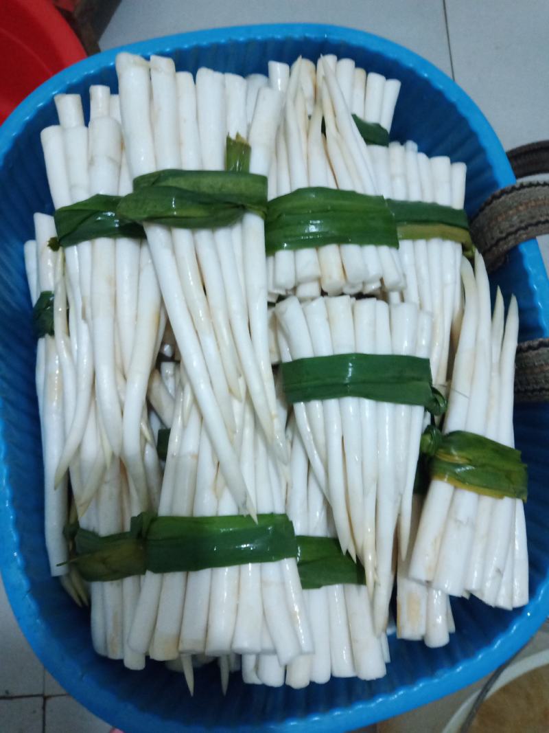 云南文山新鲜象牙菜，草牙质量非常好需要的微信联系