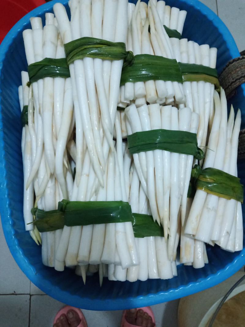 云南文山新鲜象牙菜，草牙质量非常好需要的微信联系