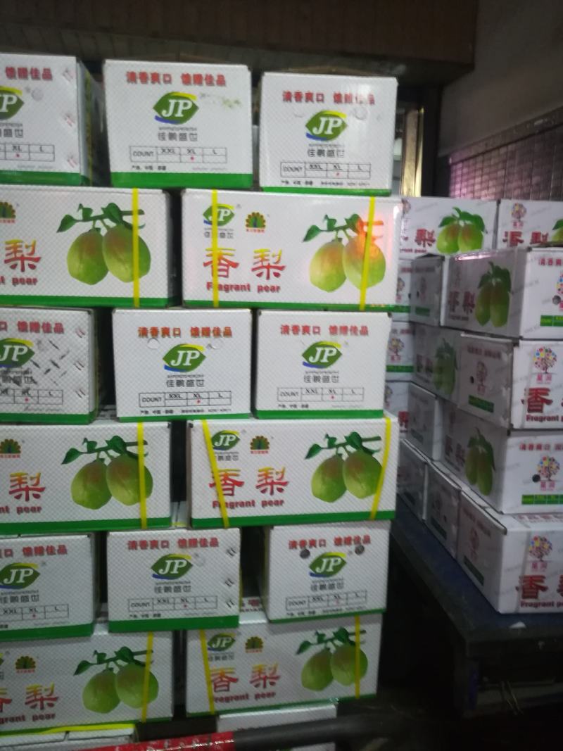 水果出口服务全国水果出口客户