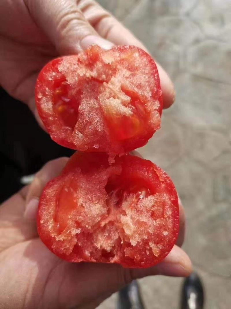 西红柿无限量供应平台商超出口
