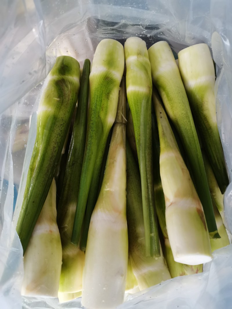 茭白各种规格无限量供应中