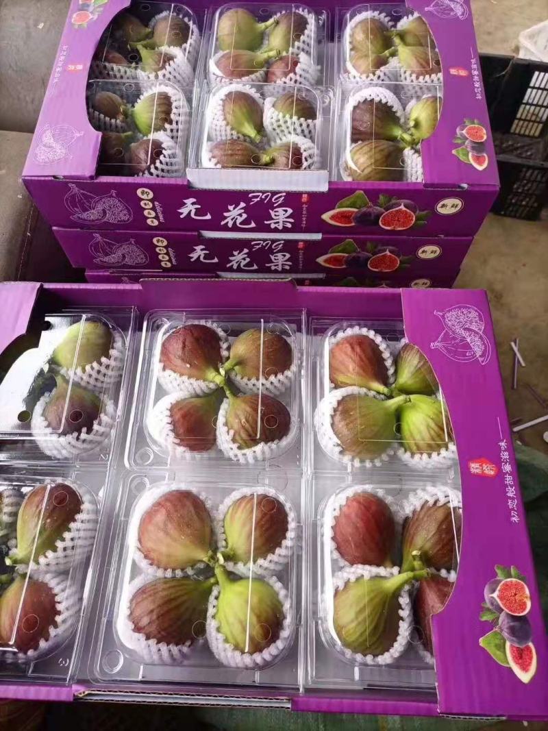 无花果新鲜采摘口感好全年供货空运直达价格优惠欢迎老板来电