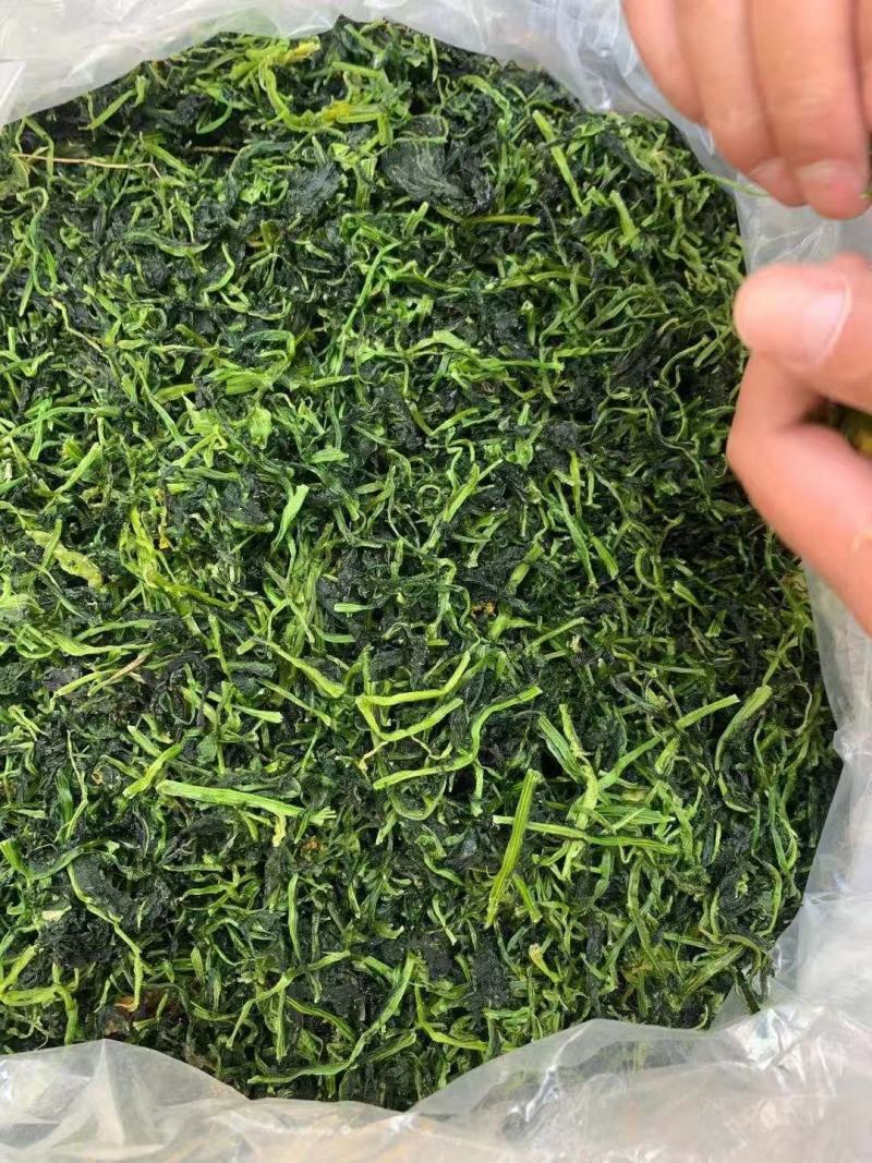 2021年脱水雪菜万年青