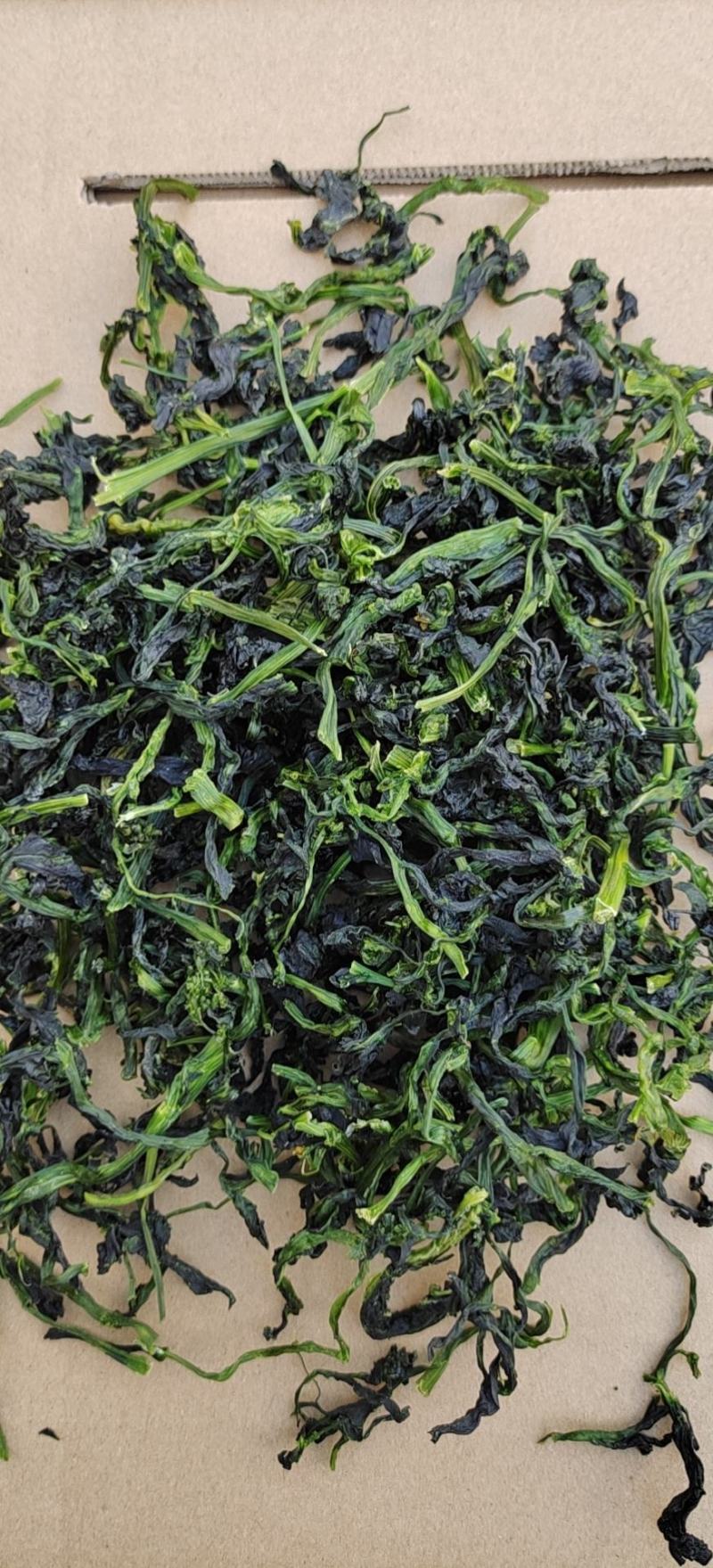 2021年脱水雪菜万年青