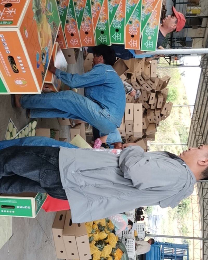 正宗海南金钻17号凤梨自然熟，口感好。20件起